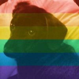 Meet your Posher, Katt